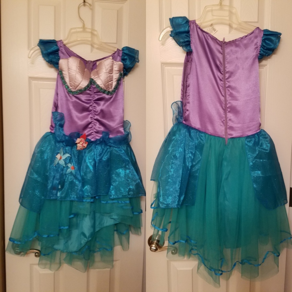 Disney princess costume